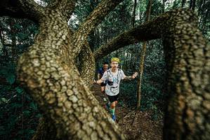 BIB: 
                            <button type="button" onclick="openModal(25669460)" class="btn btn-primary btn-sm float-right btn-popup" data-toggle="modal" data-target=".modal-high-quality">
                        <i class="fas fa-shopping-cart"></i> Add to Cart
                    </button>
                                            <button type="button" onclick="isThisMe(25669460, true)" class="btn btn-success btn-sm float-right btn-popup btn-isme hidden" data-toggle="tooltip" data-placement="bottom" title="นี่คือรูปของคุณใช่ไหม คลิกที่นี่เพื่อเอาเข้าอัลบั้ม">
                        <i class="fas fa-plus"></i> Add to album
                    </button>
                    <button type="button" onclick="isThisMe(25669460, false)" class="btn btn-warning btn-sm float-right btn-popup btn-isnotme hidden">
                        <i class="fas fa-ban"></i> Remove from album
                    </button>